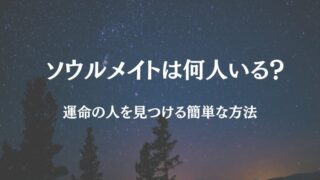 ソウルメイト 何人いる