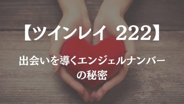 ツインレイ 222