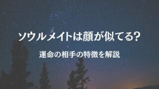 ソウルメイト 顔 似てる